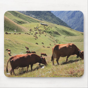 Alfombrilla De Ratón vacas en el valle de Tarentaise - raza de Tarine