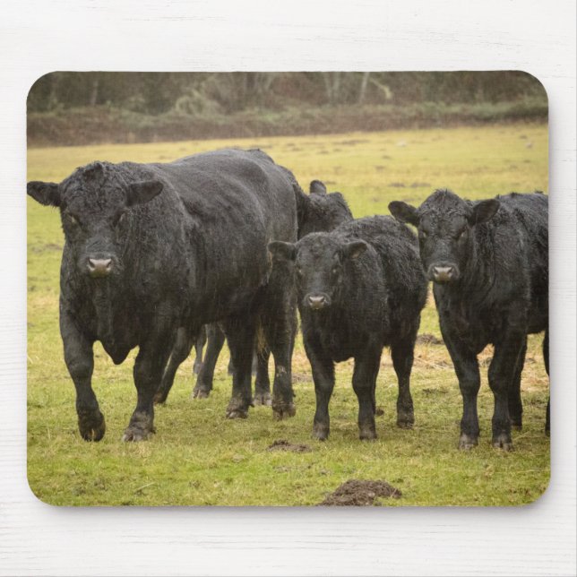 Alfombrilla De Ratón Vacas en la lluvia (Frente)