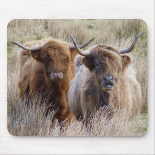Alfombrilla De Ratón Vacas Highland escocesas