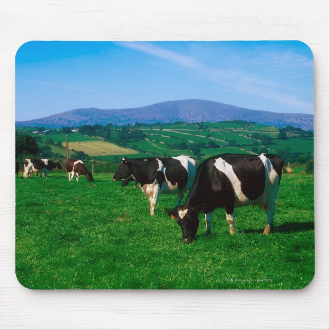 Alfombrilla De Ratón Vacas Holstein-Friesias cerca de Borris, Condado (Frente)