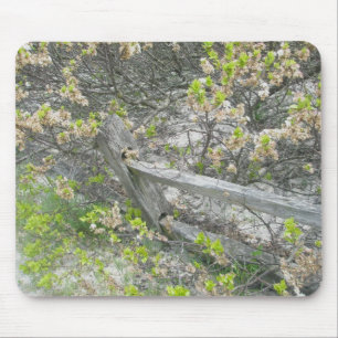 Alfombrilla De Ratón Valla contra dunas IBSP Mousepad