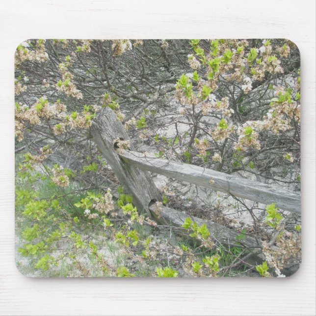 Alfombrilla De Ratón Valla contra dunas IBSP Mousepad (Frente)