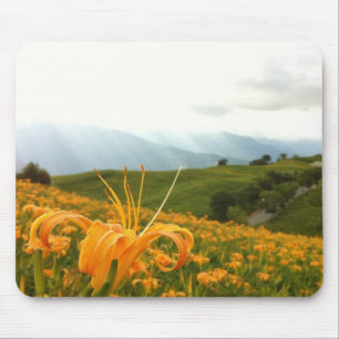 Alfombrilla De Ratón Valle de oro de la flor del Daylily