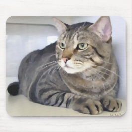 Alfombrilla De Ratón Van Helsing