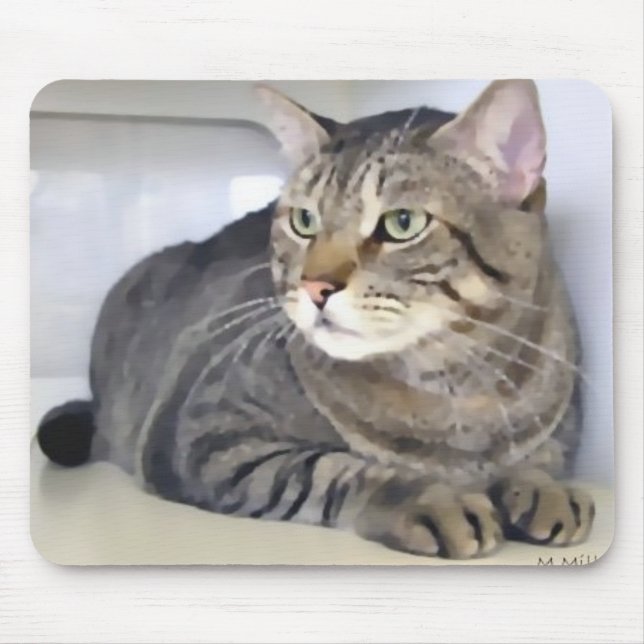 Alfombrilla De Ratón Van Helsing (Frente)