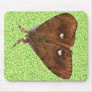 Alfombrilla De Ratón Vapourer Moth Mousepad