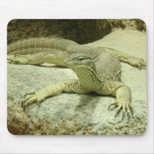 Alfombrilla De Ratón Varanus gouldii