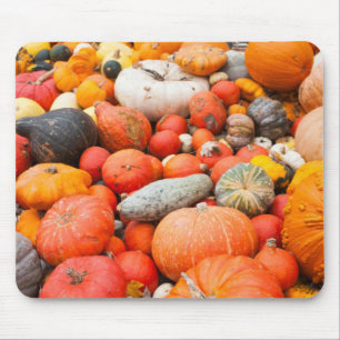 Alfombrilla De Ratón Variedad de calabaza a la venta, Alemania