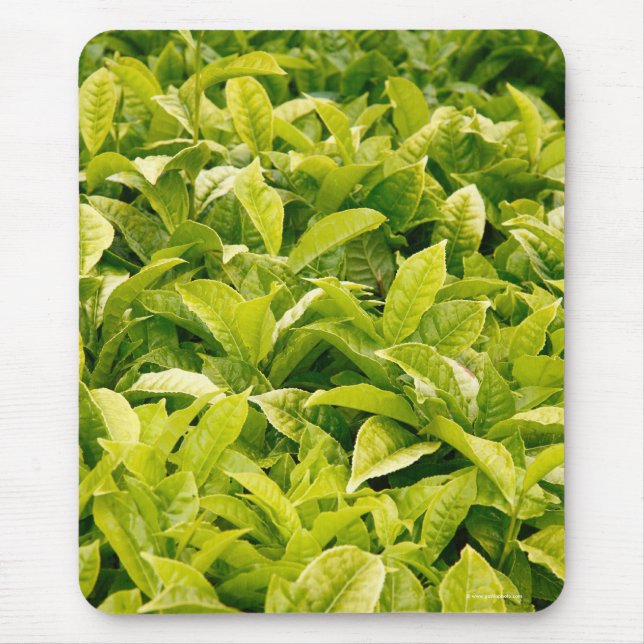Alfombrilla De Ratón Variedad india de té (Frente)
