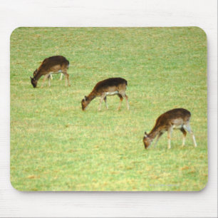 Alfombrilla De Ratón venado 2