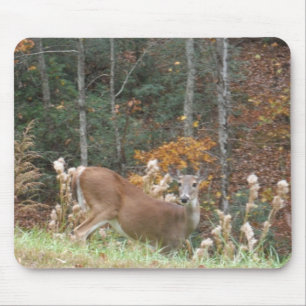 Alfombrilla De Ratón Venado de otoño en el lago Arrowhead GA