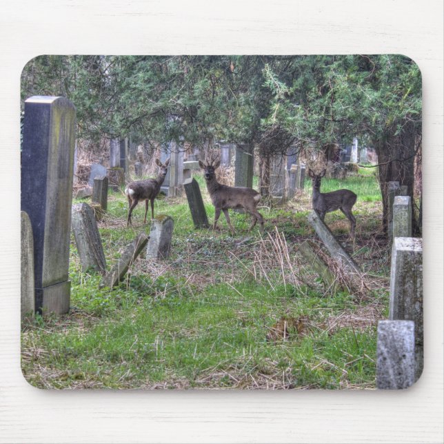 Alfombrilla De Ratón Venado En Zentralfriedhof (Frente)