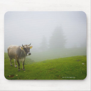 Alfombrilla De Ratón veneto italy