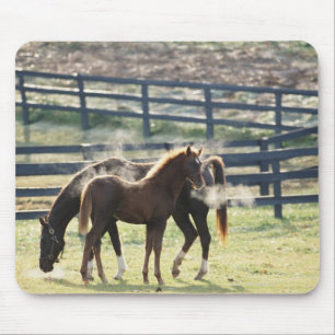Alfombrilla De Ratón Vermont, EE.UU.