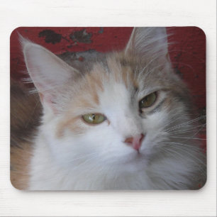 Alfombrilla De Ratón Veronica la bella - Mousepad
