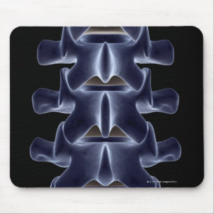 Alfombrilla De Ratón Vertebra lumbar 2