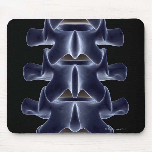 Alfombrilla De Ratón Vertebra lumbar 2 (Frente)