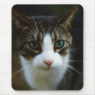 ALFOMBRILLA DE RATÓN VESPA