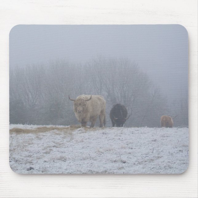 Alfombrilla De Ratón Viaje del invierno DSCF0832 (Frente)