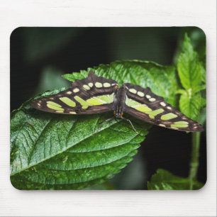 Alfombrilla De Ratón Vibrante Mousepad Verde