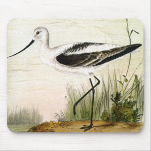 Alfombrilla De Ratón Vida Marina Antigua Aves Costeras, Aves Avoceta