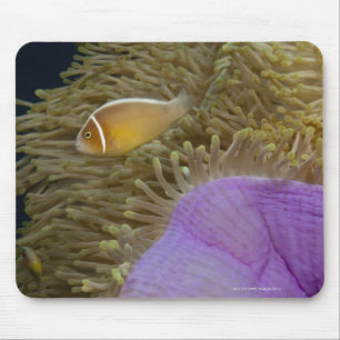 Alfombrilla De Ratón Vida subacuática; PESCADOS: Clownfish (rosa