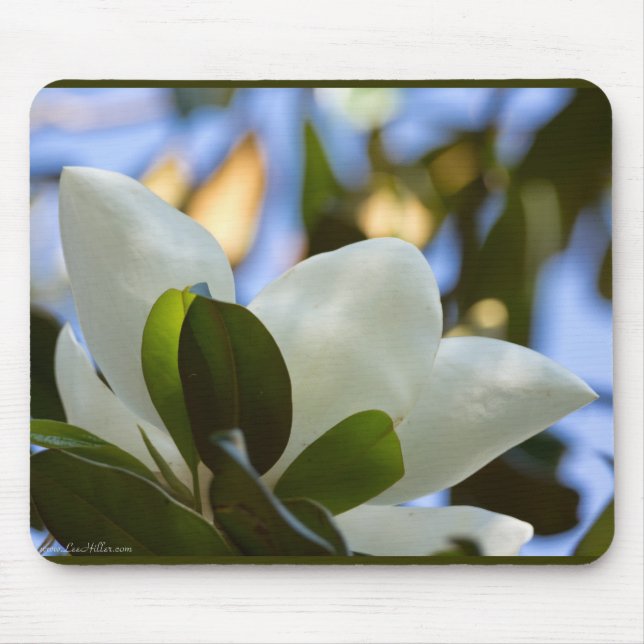 Alfombrilla De Ratón Vidrio manchado Sky Southern Magnolia Regalos (Frente)