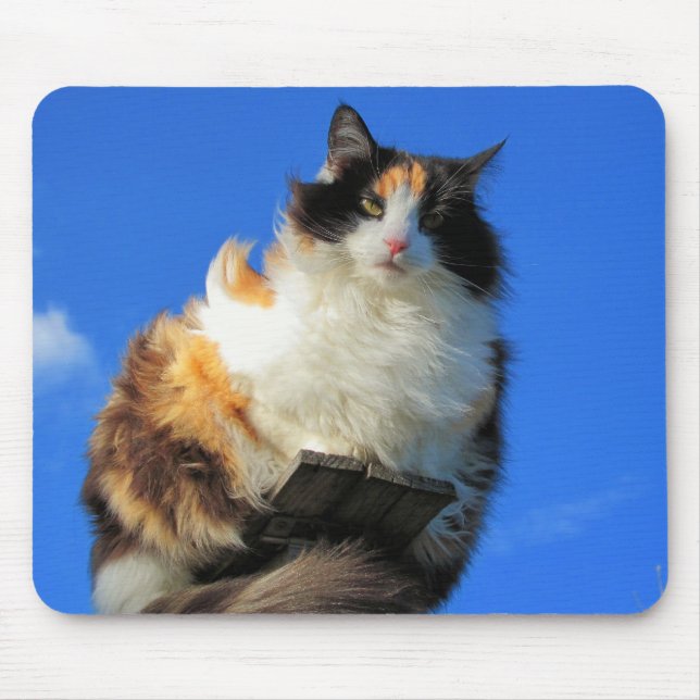 Alfombrilla De Ratón Viento aquí (Frente)