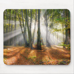 Alfombrilla De Ratón Vigas de sol en un bosque de hayas en otoño -