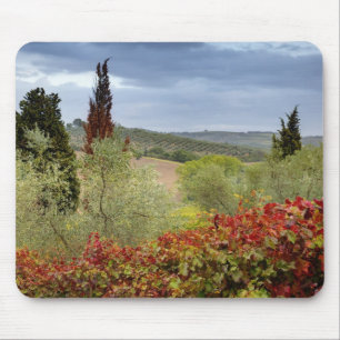 Alfombrilla De Ratón Viñedo cerca de Montalcino, Toscana, Italia