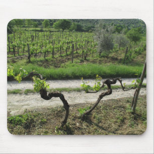 Alfombrilla De Ratón Viñedo en la región de Chianti de Italia