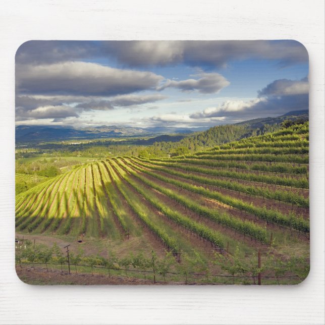 Alfombrilla De Ratón Viñedo. Valle de Napa. Napa. Condado de Napa (Frente)