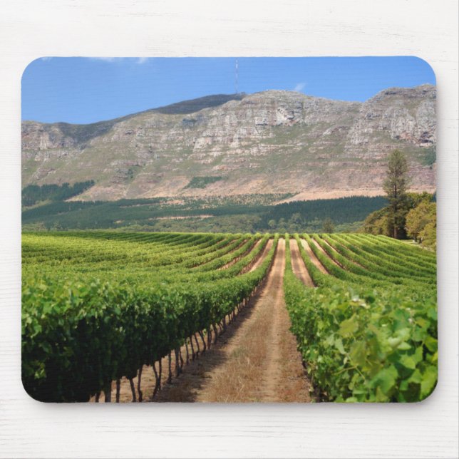 Alfombrilla De Ratón Viñedos de Groot Constantia Wine Estate (Frente)