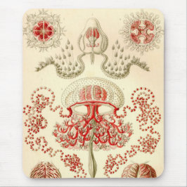Alfombrilla De Ratón Vintage Haeckel