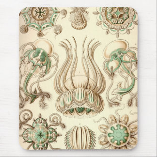 Alfombrilla De Ratón Vintage Haeckel