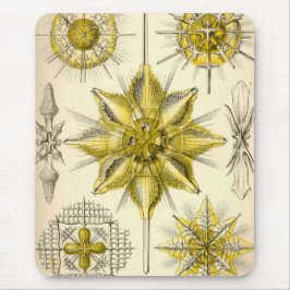 Alfombrilla De Ratón Vintage Haeckel