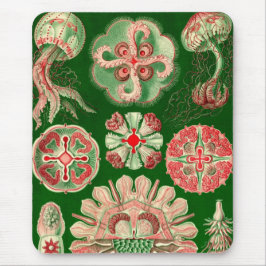 Alfombrilla De Ratón Vintage Haeckel