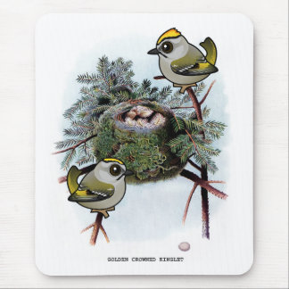 Alfombrilla De Ratón Vintage Kinglet