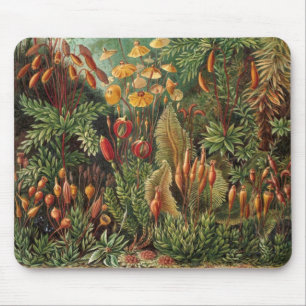 Alfombrilla De Ratón Vintage Moss Plants de Ernst Haeckel, Muscinae
