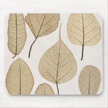 Vintage Naturalist Botanic Drawing | Saltos 1858