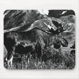 Alfombrilla De Ratón Vintage USA Alaska alce macho Case-Mate Samsung Ga
