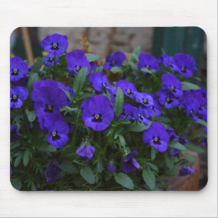 Alfombrilla De Ratón Viola wittrockiana