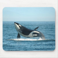 Violación de la ballena Mousepad