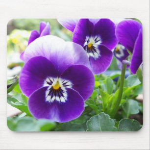 Alfombrilla De Ratón Violas púrpuras