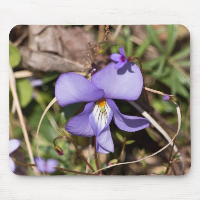Alfombrilla De Ratón Violeta de pie de pájaro con azulejos (Frente)