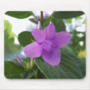 Alfombrilla De Ratón Violeta púrpura filipina