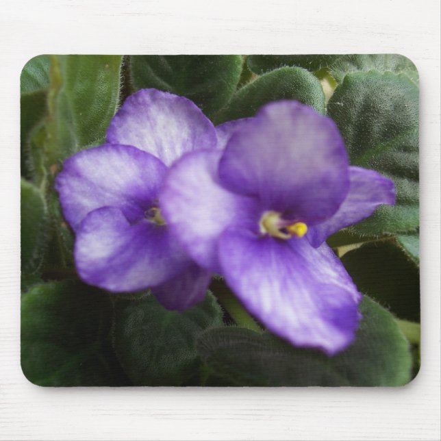 Alfombrilla De Ratón Violetas africanas Mousepad (Frente)