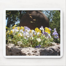 Violetas en un abrevadero de piedra.