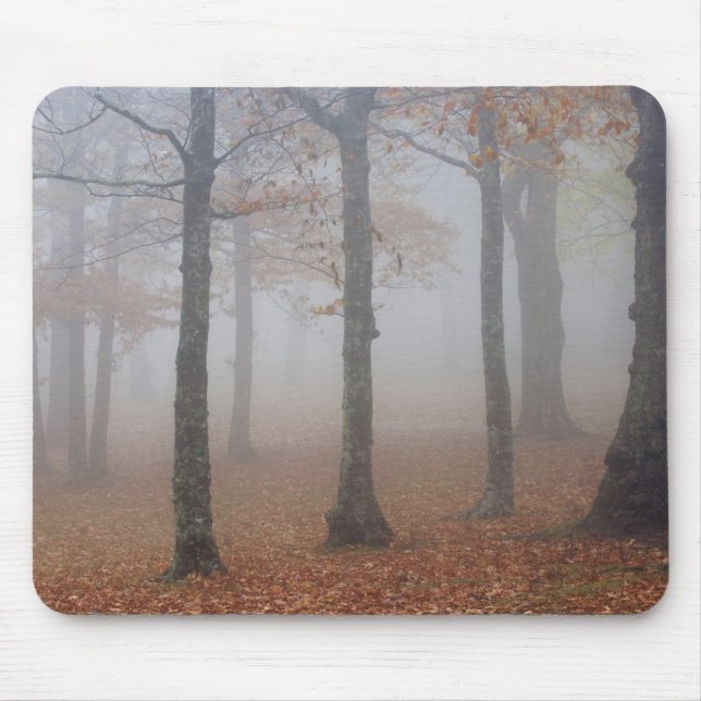Alfombrilla De Ratón Vista del otoño del bosque nublado, abuelo (Frente)