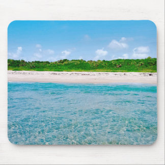 Alfombrilla De Ratón Vista Desde El Mousepad De Sandbar